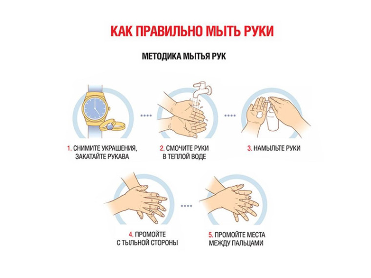 От каких инфекций можно защититься благодаря мытью рук?.