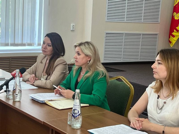 Встреча Уполномоченного по защите прав предпринимателей в Ульяновской области с бизнес-сообществом Старомайнского района.